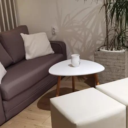 Apartment Zona 1